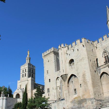 Le Petit Avignon - Chambres & Appartement A Deux Pas Du Pont D'Avignon Et Du Palais Des Papes Dış mekan fotoğraf
