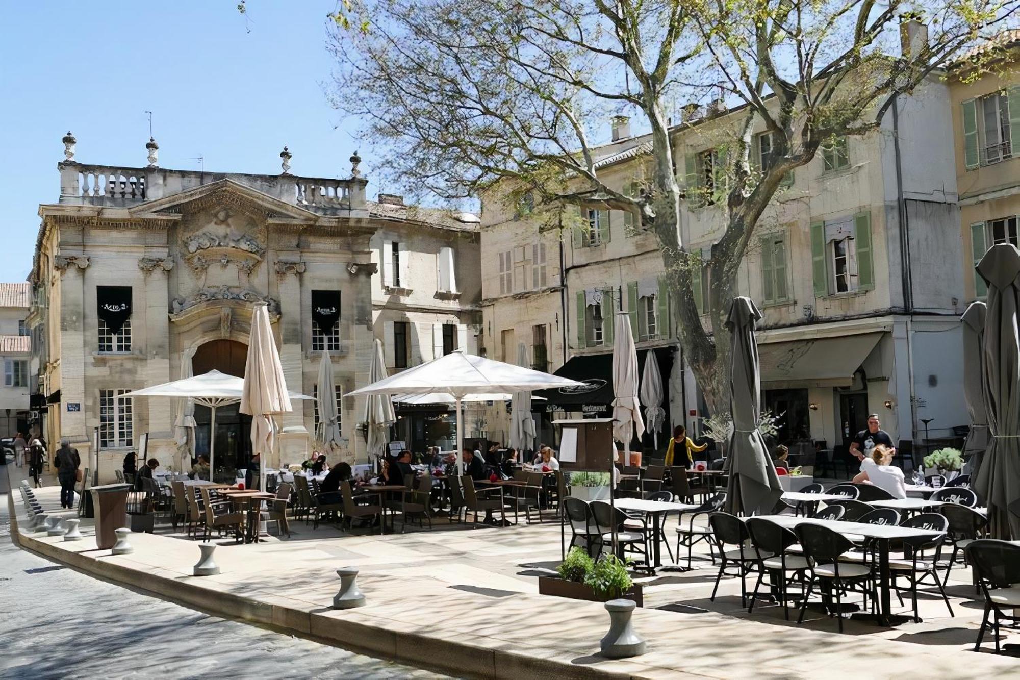 Le Petit Avignon - Chambres & Appartement A Deux Pas Du Pont D'Avignon Et Du Palais Des Papes Dış mekan fotoğraf