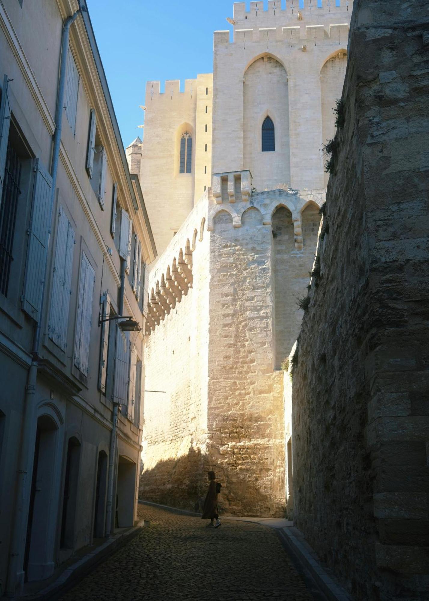 Le Petit Avignon - Chambres & Appartement A Deux Pas Du Pont D'Avignon Et Du Palais Des Papes Dış mekan fotoğraf